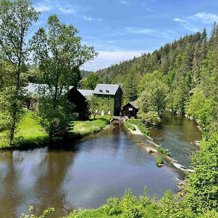 Chalet-Ferienwohnung Schlossblick, 51 Qm, Wellness/Fitness/Sauna - Bergroedelhof Feilitzsch Екстер'єр фото